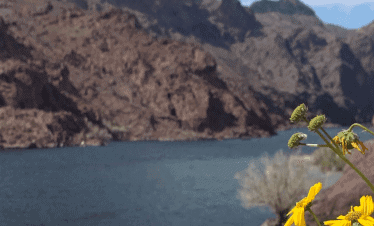 Arizona Hot Springs Private Tour
