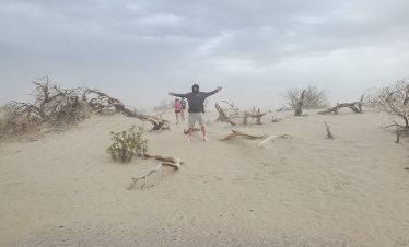 Person standing with arms outstretched in a barren desert with fallen trees.
