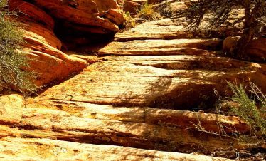 Scenic Zion National Park trail with red rock formations and blue sky.