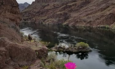 Scenic view of Black Canyon with Colorado River and desert landscape.