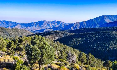 Scenic view of Mt Charleston mountains and lush green forest in Nevada.