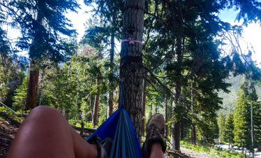Relaxing in a forest during a Mt Charleston hike with a hammock tied between trees.