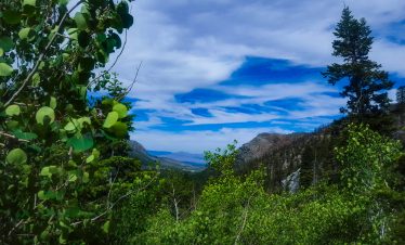 Scenic mountain landscape with lush greenery and blue sky during a hike.