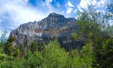 Majestic mountain landscape with lush green trees and blue sky.